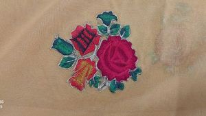 Elegant Embroidered Saree