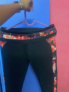 gym short half pants