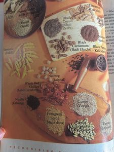 The Foolproof Cookbook By Rohini Singh