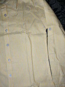 Summer Essential Pintresty Shirt For Women