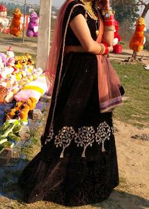 Lehenga Choli