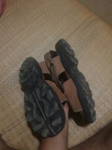 Staffy Sandal (Tan Colour)