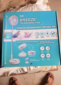 Portable Fan