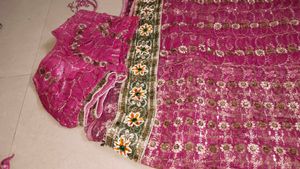 Elegant Pink Embellished Saree