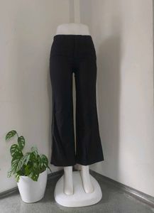 Black Pants