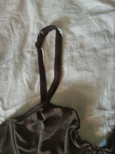 Beautiful Brown Under Wire Pushup Bra