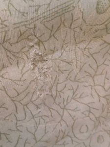 Elegant Green Printed Saree