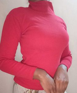 Turtle Neck Top
