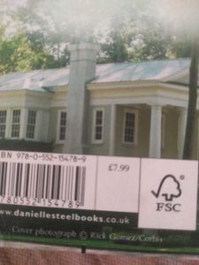 Southern Lights - Danielle Steel