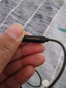 two earphones with mic and a data cable
