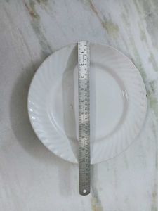 Vintage Dinner Plates (Set of 4)