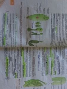NCERT BIOLOGY CLASS 12