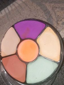 True Girl Pro Concealer Palette