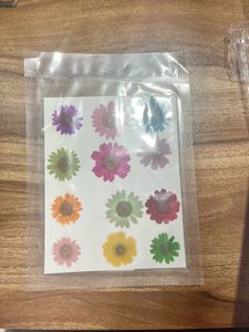 Resin press dried flowers