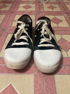 Converse Sneakers