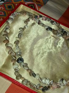 seashell necklace🫧🐚🌊🧜🏻‍♀️