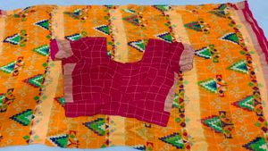 Elegant Traditional Saree