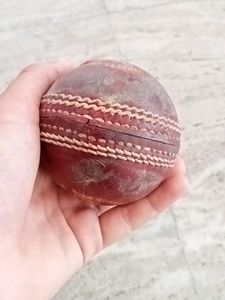 Leather Ball Cricket Bal