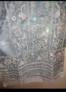 New Organza Kurta Set