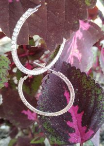 Sparkling Hoop Earrings