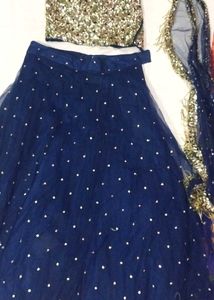 Sequin Embellished Lehenga Choli