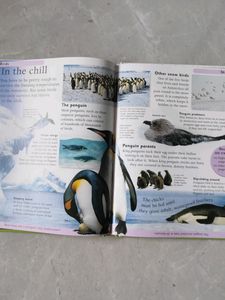 Combo Of Three Books For Children