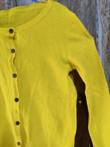 3 Woolen Top At 249