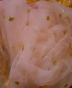 beautiful Baby Pink Colour Anarkali Duppta