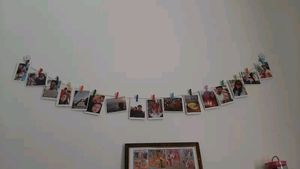 Polorids Photo 16 Pics In Very Less Price