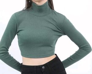Ribbed Turtleneck Crop Top