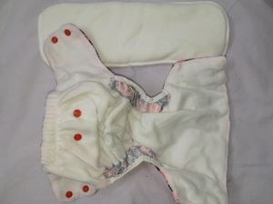Cloth Diaper &amp; Insert Pad (3m- 3y)