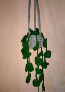 Crochet Hanging Plant☘️