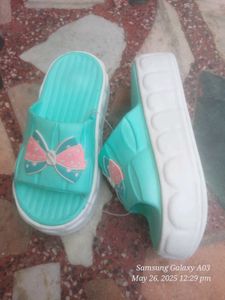 Ledis Platform Salippar