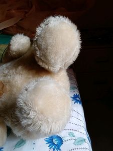 CuteTeddy Bear