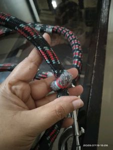 Free - Pet Leash