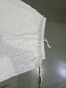 Plazo Pant
