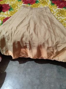 Ethnic Skirt