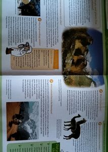 Knowledge Encyclopedia