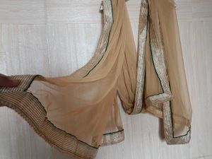 Golden Tan Net Duppta  With Less Border