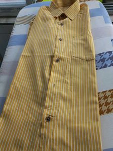 White strip Yellow Color Full Sleeve Shirt.