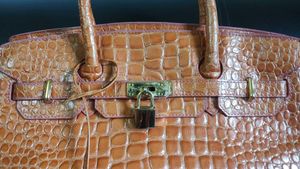 Birkin Bag By Designer Roberta Di Camerino