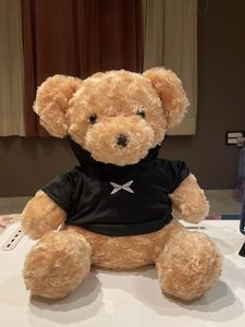 Cute Teddy Bear with Hoodie
