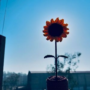 Handmade Crocheted Sunflower Decoration