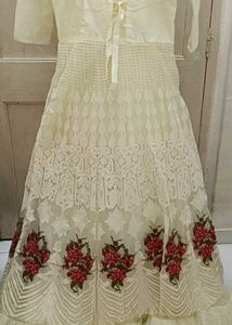 Premium net dress with front and back work.