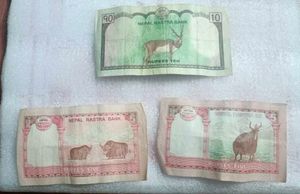 Nepali Currency 360 Rs