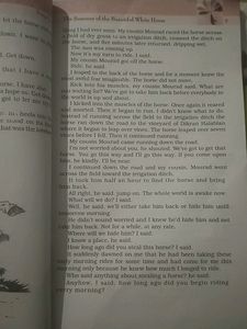 class 11 english books snapshot+hornbill