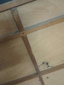 Carrom Board
