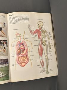 Children&#39;s Treasury of Knowledge Set