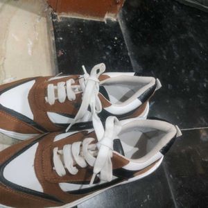 Basic Brown Daily Wear Shoes Comfortable