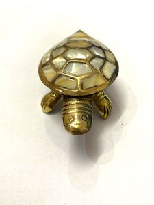 Wish Tortoise